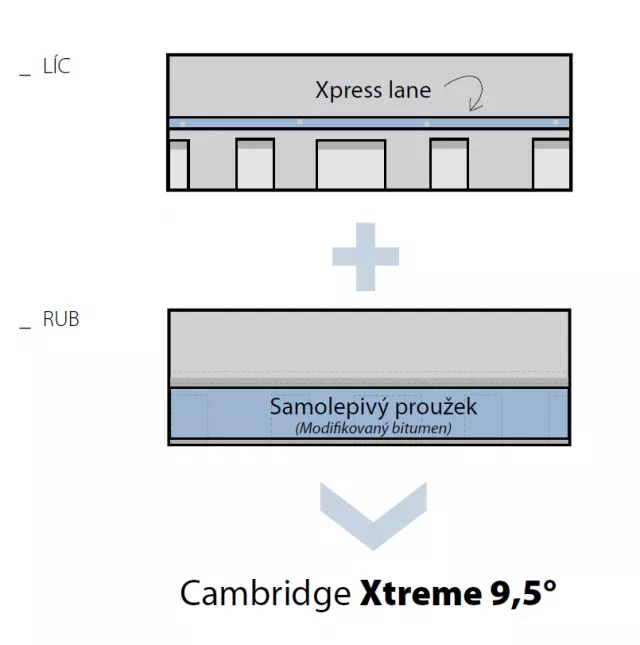 rub a lic Cambridge Xtreme