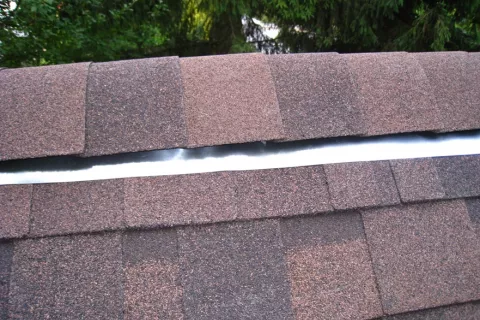 Ridge with Armourvent Multi and zinc on shingles roof