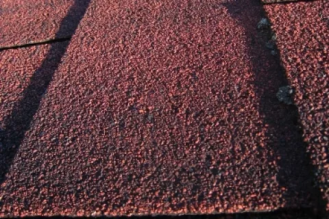 Algae stains on shingle roof detail