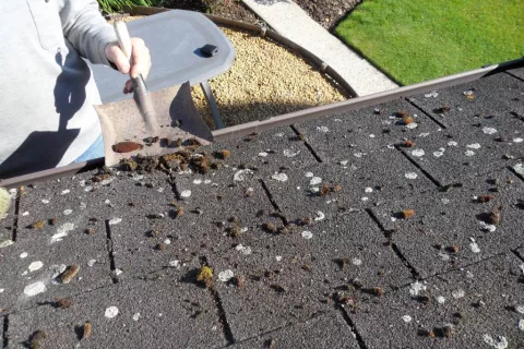 How to clean roof from algae and moss 2