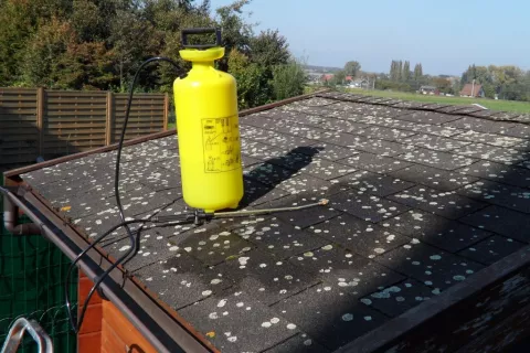 How to clean roof from algae and moss 4