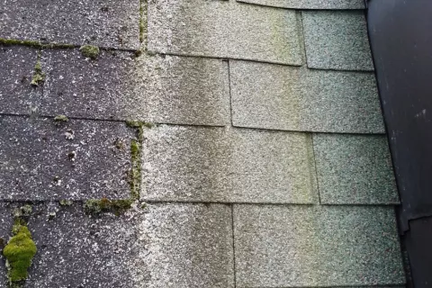 Moss and no moss on shingles roof
