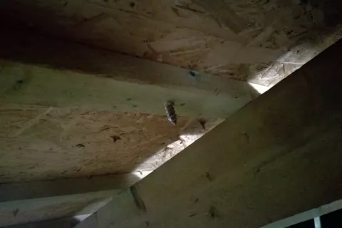 Fixation photovoltaics on shingles roof