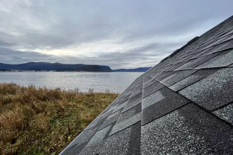 Cambridge shingle in natural environment