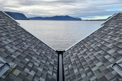 Roof shingles Cambridge Xtreme in Harvard Slate (50)