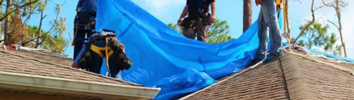 Tarp on shingle roof during seasons