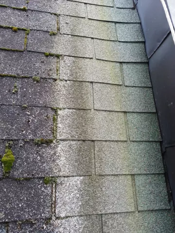 Moss and no moss on shingles roof