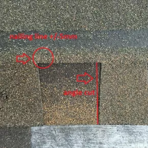 Nailing zone and angle cut tested product 2 competitors test