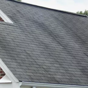 Algea stains on roof during spring