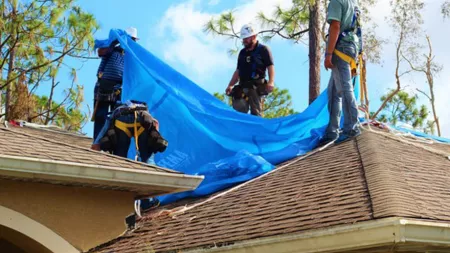 Tarp on shingle roof during seasons